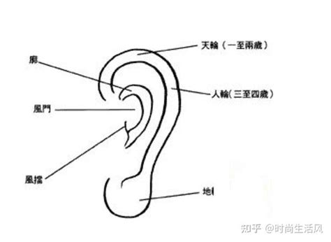 右耳朵突然長痣|耳朵上面长痣